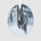 Berger allemand noir dans la couverture de duvet d (devant)