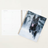 Berger allemand noir dans la couverture de duvet d (Devant avec enveloppe)