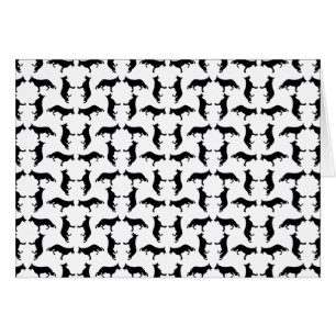 Berger allemand noir et blanc