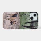 Berger Allemand sur un sentier forestier (Verso Horizontal)