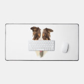 Berger australien 1 (Clavier et souris)