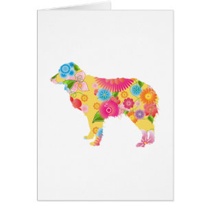 Berger australien miniature