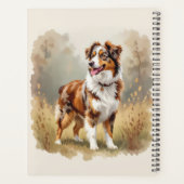 Berger Australien Red Merle Aussie (Dos)