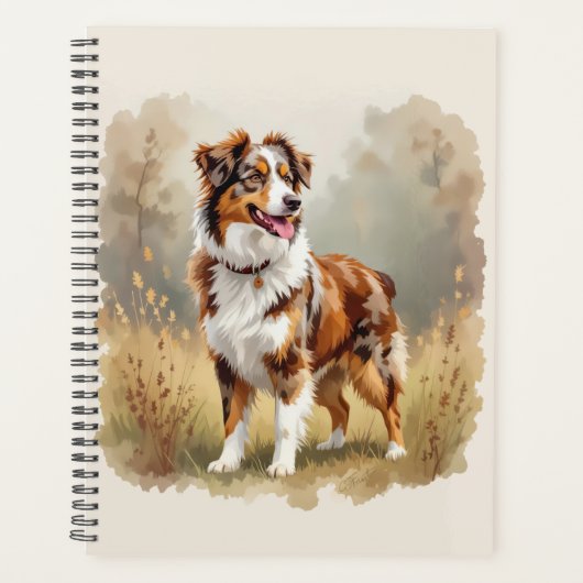 Berger Australien Red Merle Aussie (Devant)