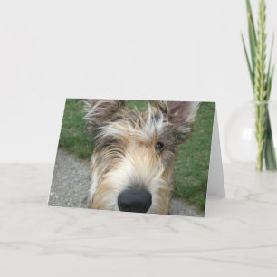 Berger de Picard Kaart