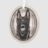 Berger néerlandais - Hollandse Herdershond (devant)