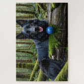 Berger noir allemand dans le Puzzle de la forêt (Vertical)