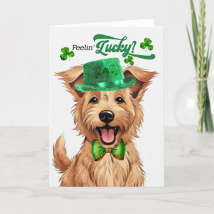 Berger Picard Dog Lucky St Patrick's Day Feestdagen Kaart