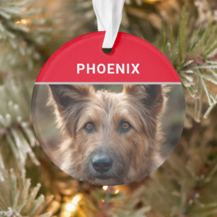 Berger Picard Dog's Naam en Foto Kerstmis Ornament