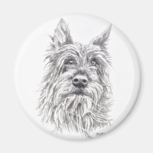 Berger Picard Magnet