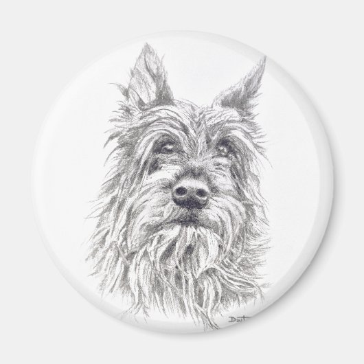 Berger Picard Magnet (Devant)