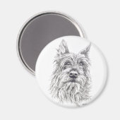 Berger Picard Magnet Magneet (Voorkant / Achterkant)