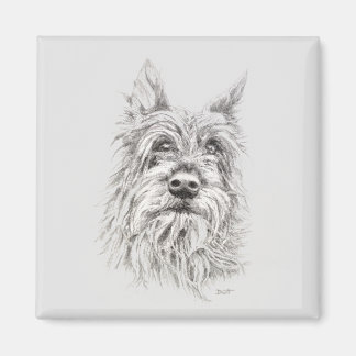 Berger Picard Magnet Magneet