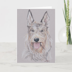 Berger Picard of Picardy Shepherd Dog Art Greeting Kaart