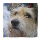 Berger Picard Tile Tegeltje (Voorkant)