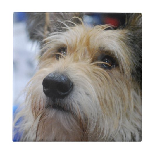 Berger Picard Tile Tegeltje (Voorkant)