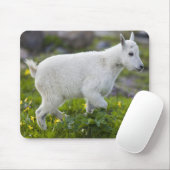 Berggeit kind bij Logan Pass in Glacier Muismat (Met muis)