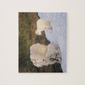 berggeiten legpuzzel (Verticaal)