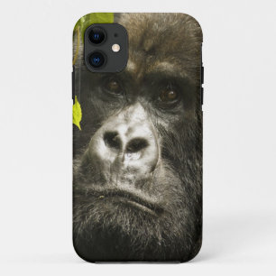 Berggorilla, Gorilla beringei beringei, iPhone 11 Hoesje