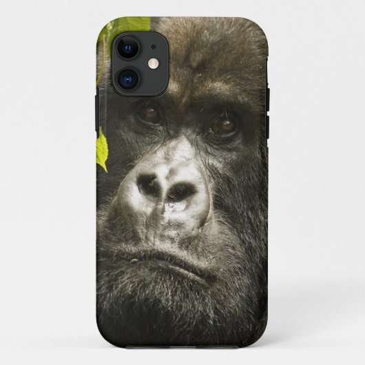 Berggorilla, Gorilla beringei beringei, Case-Mate iPhone Case (Achterkant)