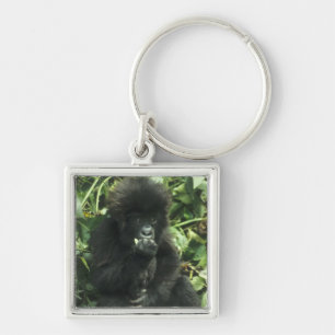Berggorilla, (Gorilla gorilla beringei), Sleutelhanger