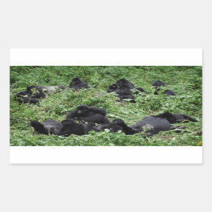 Berggorilla groep rechthoek sticker