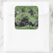 Berggorilla groep vierkante sticker (Tas)