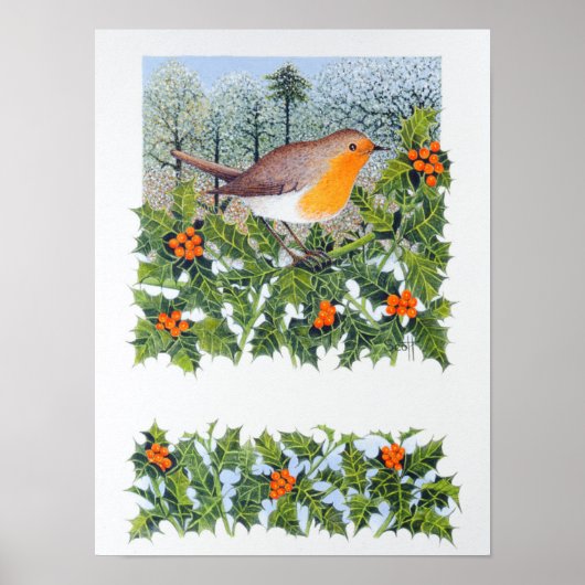 Berging Poster (Voorkant)