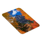 Bergkast in herfst, CA Magneet (Rechterzijde)