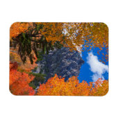 Bergkast in herfst, CA Magneet (Horizontaal)