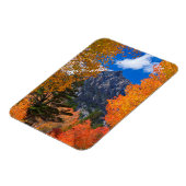 Bergkast in herfst, CA Magneet (Linkerzijde)