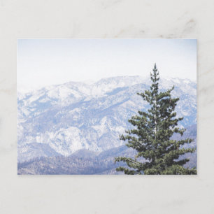 Berglandschap met pine BRIEFKAART