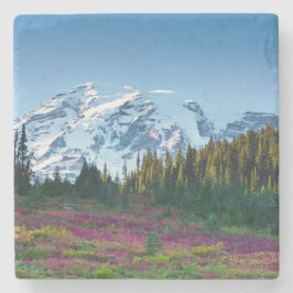 berglandschap stenen onderzetter