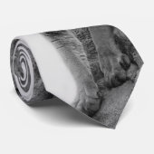 Bergleeuw in zwart-wit stropdas (Opgerold)