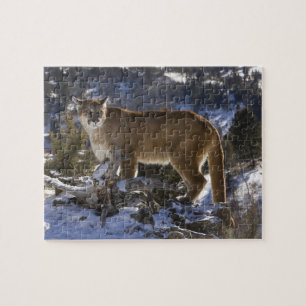 Bergleeuw Legpuzzel