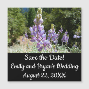 Berglupinen in Yosemite