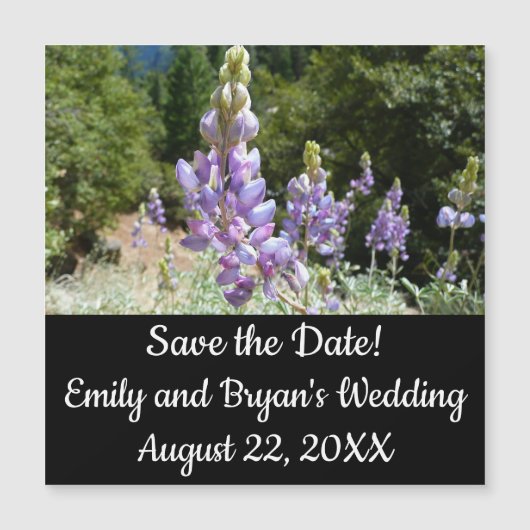 Berglupinen in Yosemite (Voorkant)