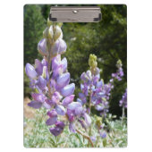 Berglupinen in Yosemite Klembord (Voorkant)