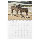 Bergpaarden in 2012 kalender (Feb 2026)