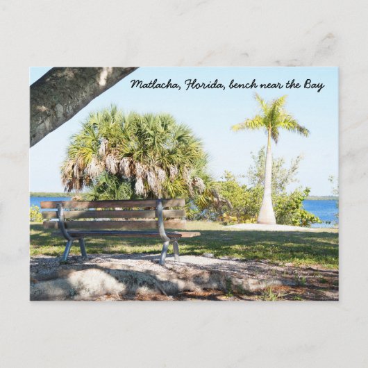 Bergpalm Bay Matlacha Florida Briefkaart (Voorkant)