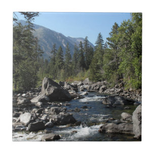 Bergrivierkreeft Tegeltje