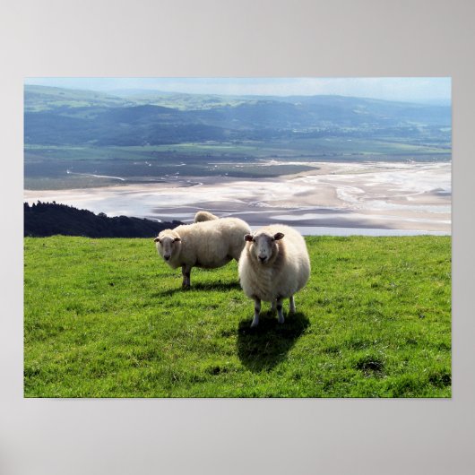 BERGSCHAAP POSTER (Voorkant)