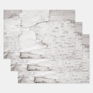 Bergschors Witte Rustige Land Woodland Inpakpapier Vel