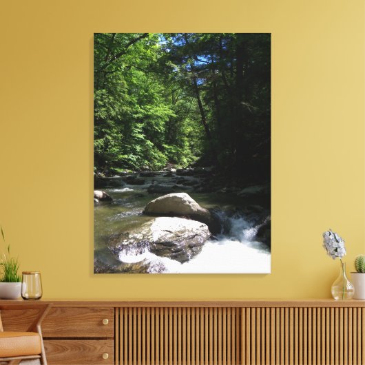 Bergstroom Canvas Afdruk (Insitu (Woonkamer))