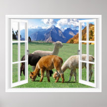 Bergvenster met Alpaca