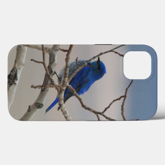 Bergvogel Case-Mate iPhone Case (Achterkant (horizontaal))
