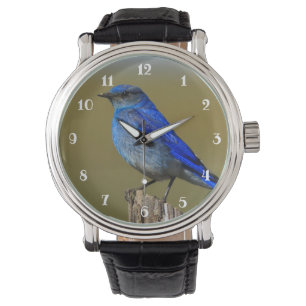 Bergvogel Horloge