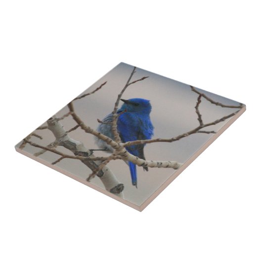 Bergvogel Tegeltje (Zijkant)