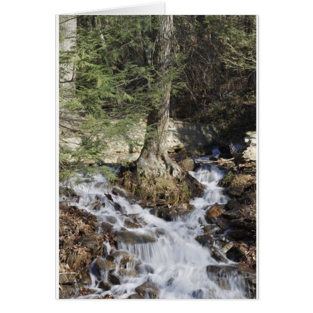 Bergwaterval (Voorkant)