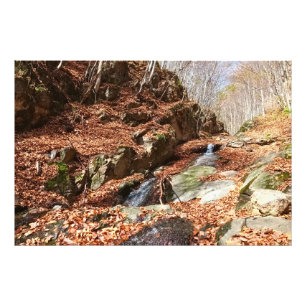 Bergwaterval - Wilde Natuur Roemenië Foto Afdruk